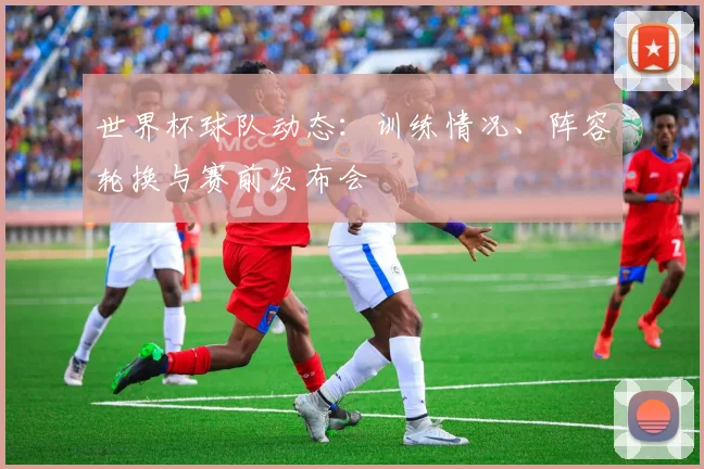 世界杯球队动态:训练情况、阵容轮换与赛前发布会